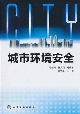 城市环境安全