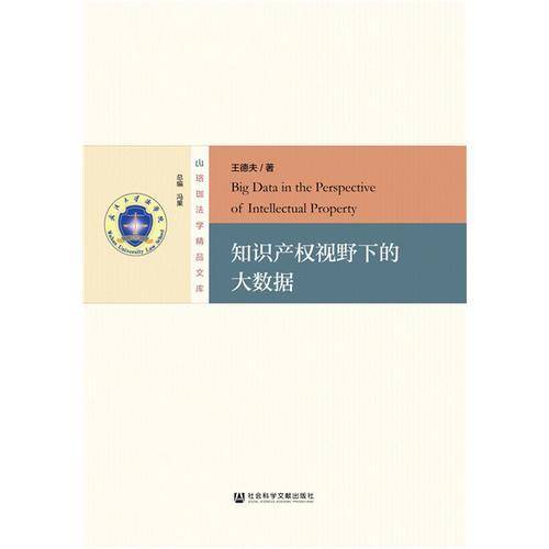 知识产权视野下的大数据/珞珈法学精品文库