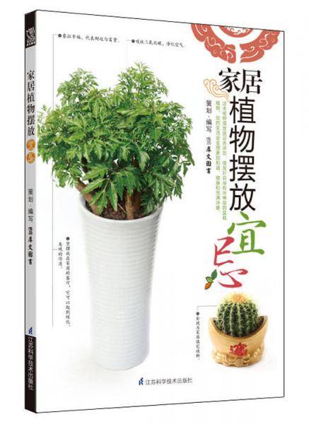 家居植物摆放宜忌