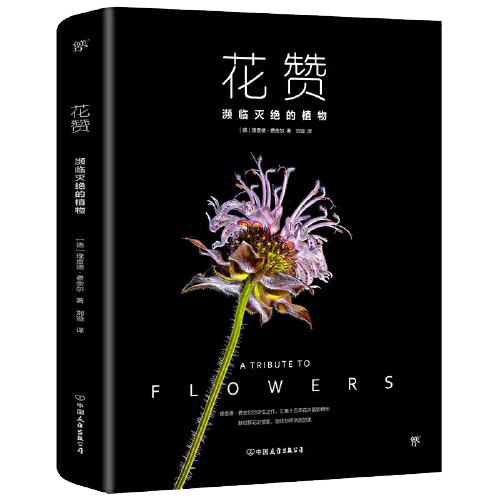 花赞