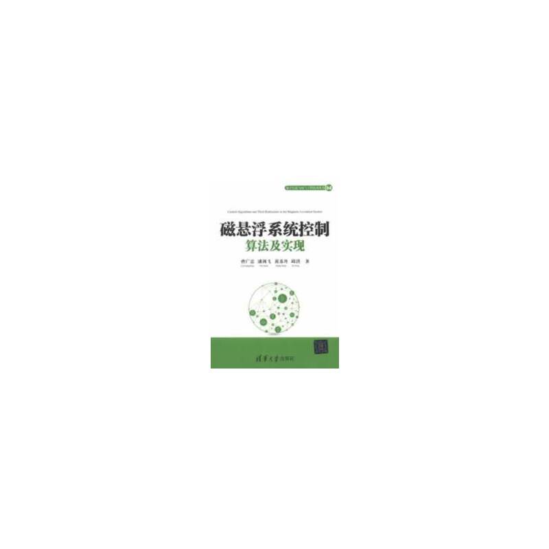 磁悬浮系统控制算法及实现