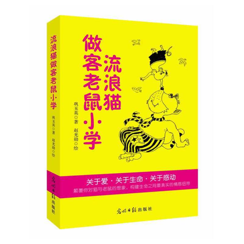 流浪猫做客老鼠小学