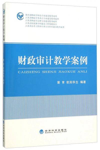 财政审计教学案例