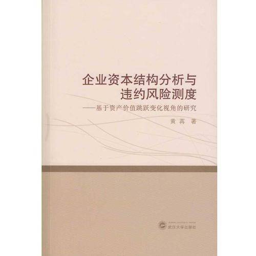 企业资本结构分析与违约风险测度：基于资产价值跳跃变化视角的研究