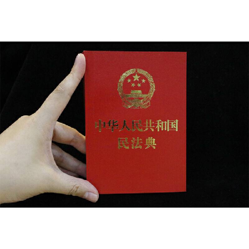 中华人民共和国民法典 2020年6月新版 