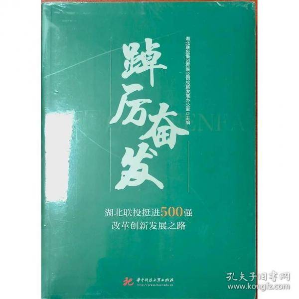 踏厉奋发 湖北联投挺近500强改革创新发展之路