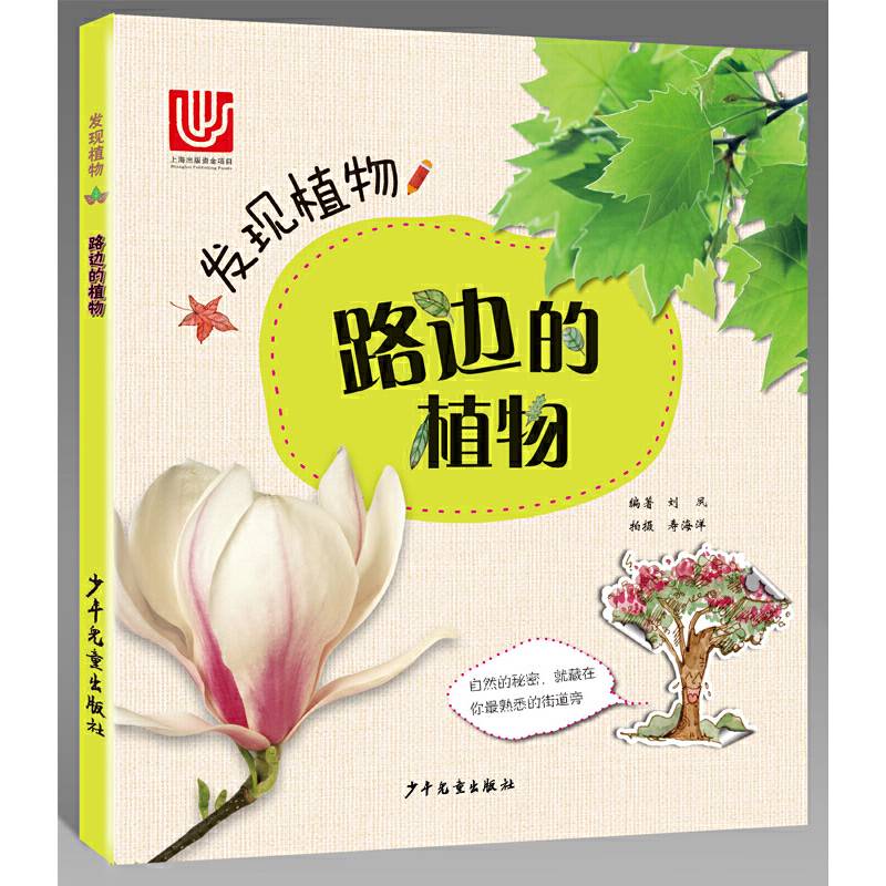 发现植物 路边的植物