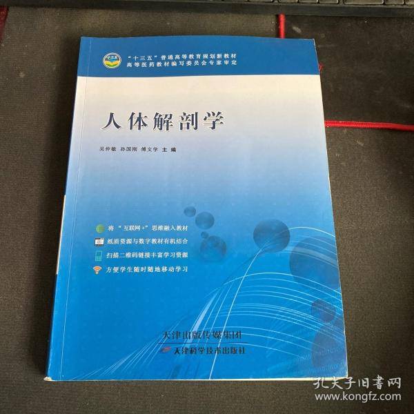 人体解剖学