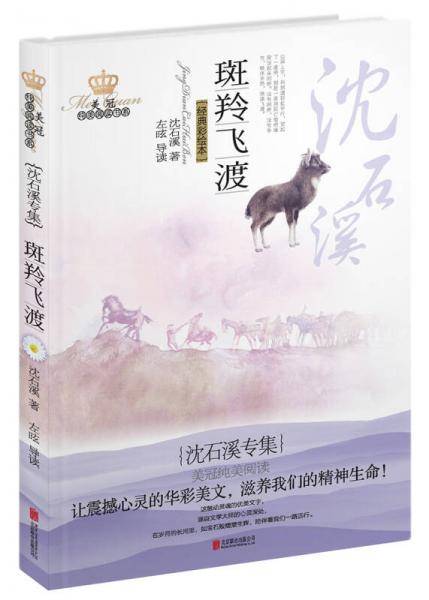 美冠纯美阅读书系・ 斑羚飞渡：沈石溪专集