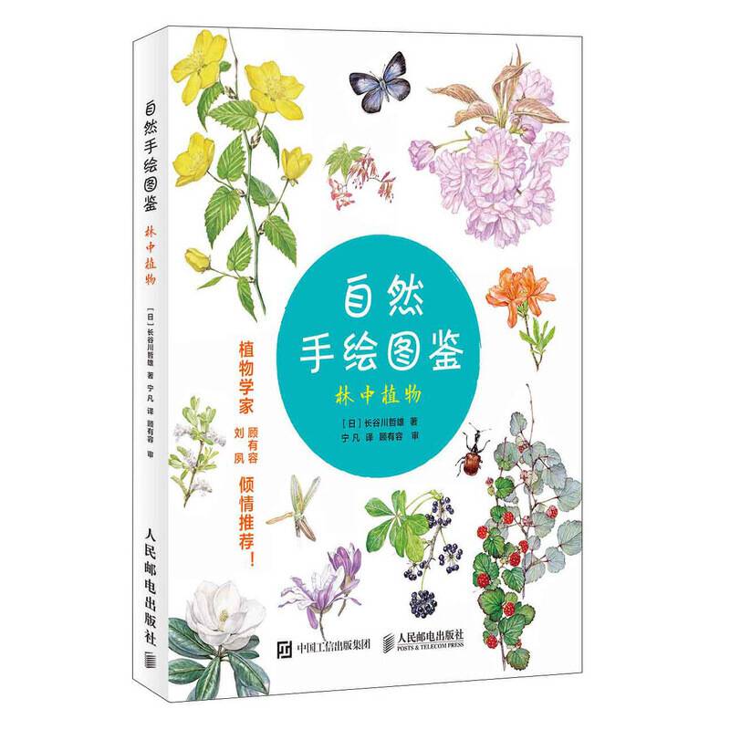 自然手绘图鉴 林中植物
