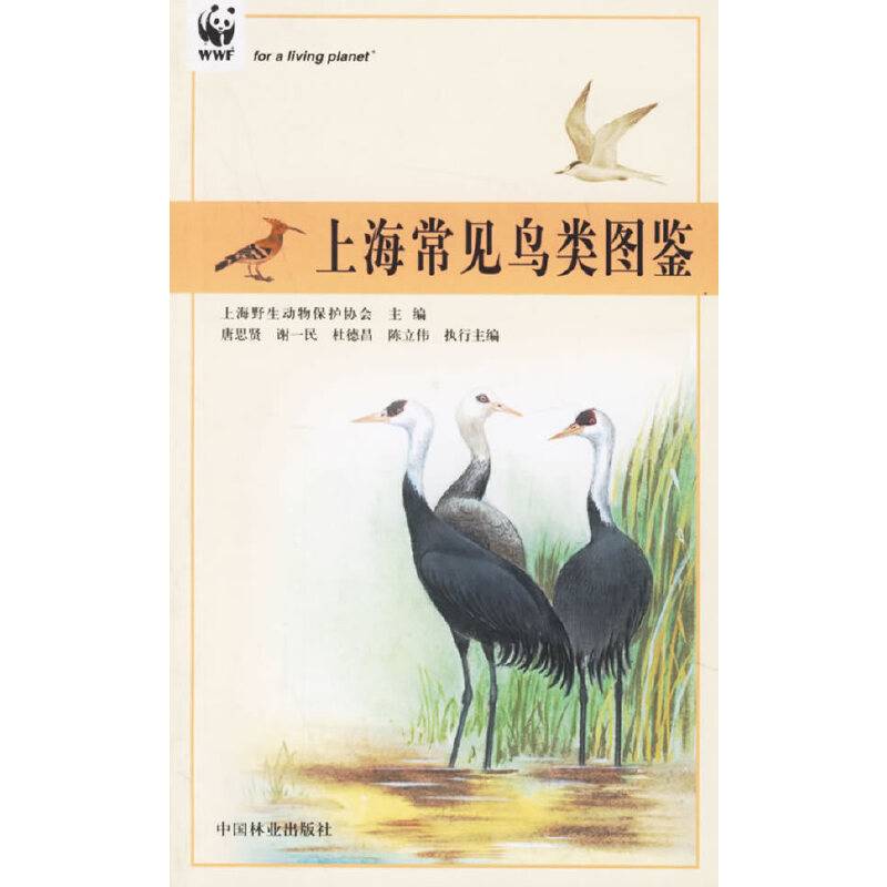 上海常见鸟类图鉴--上海市绿化林业科普丛书