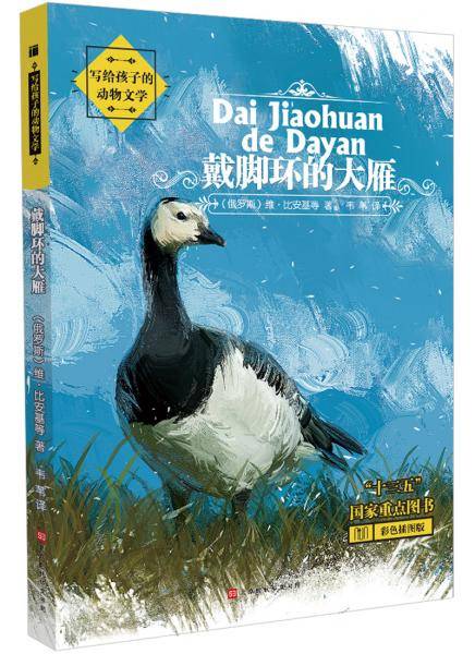 戴脚环的大雁(彩色插图版)/写给孩子的动物文学