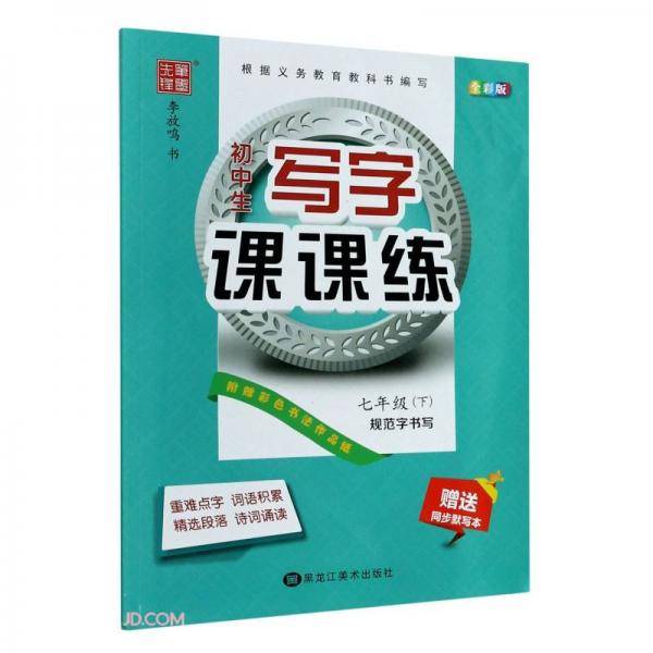 初中生写字课课练