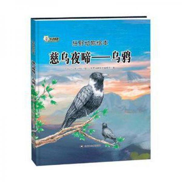 慈乌夜啼:乌鸦 绘本 狂野动物编委会编 新华正版