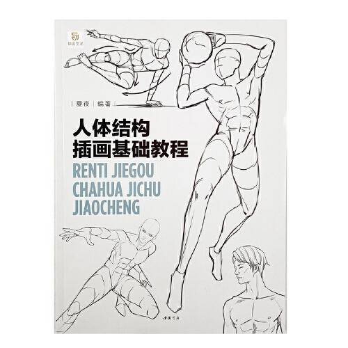 人体结构插画基础教程
