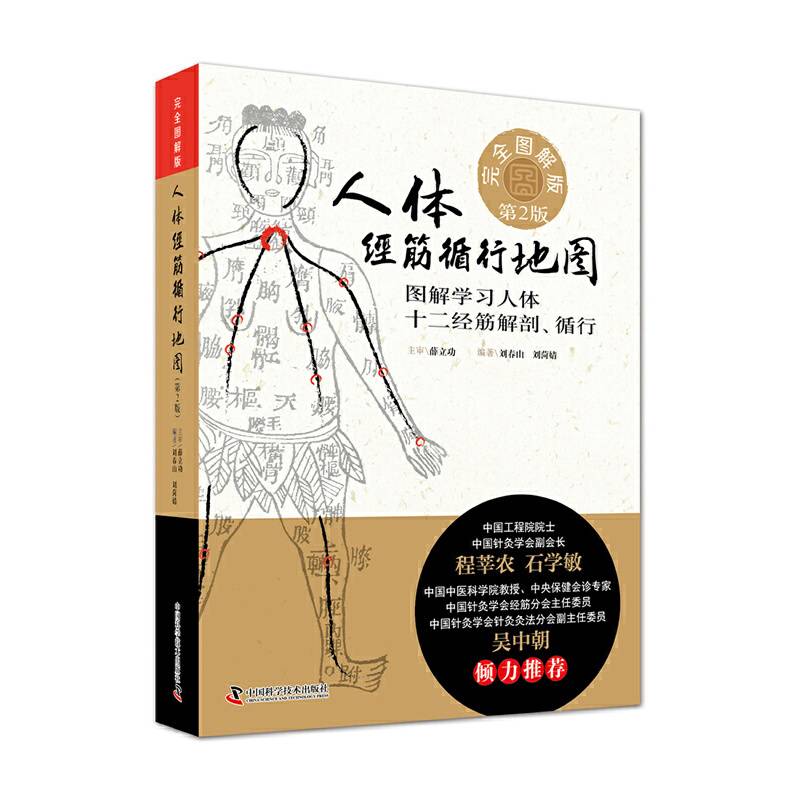 人体经筋循行地图