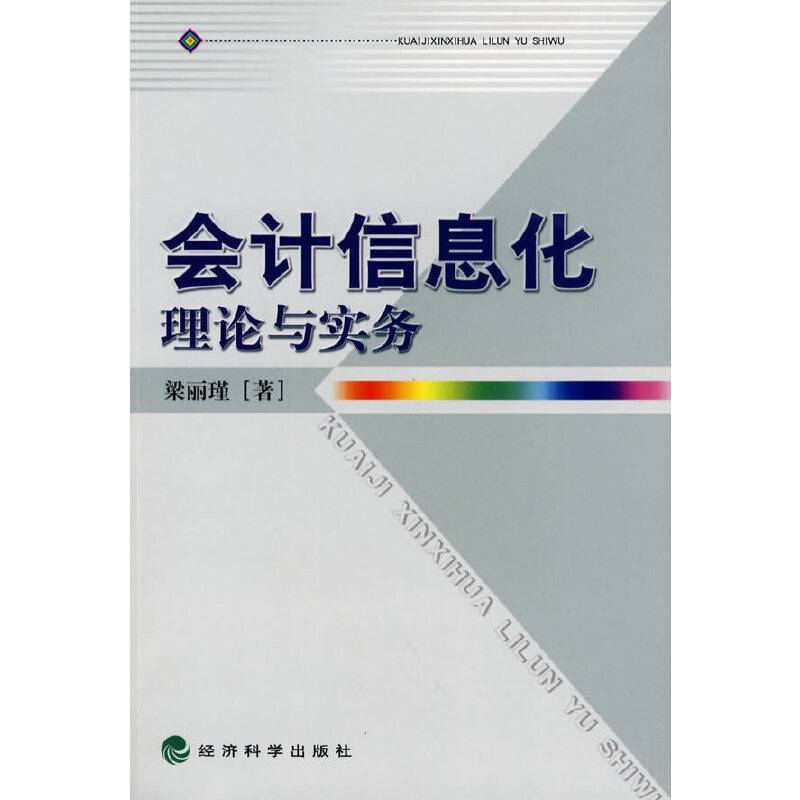 会计信息化理论与实务
