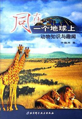 同在一个地球上