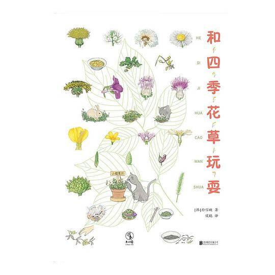 和四季花草玩耍