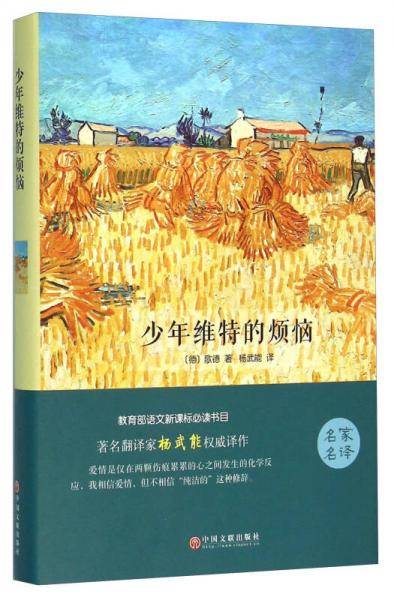 少年维特的烦恼
