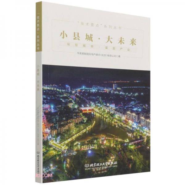 小县城大未来/技术要点系列丛书