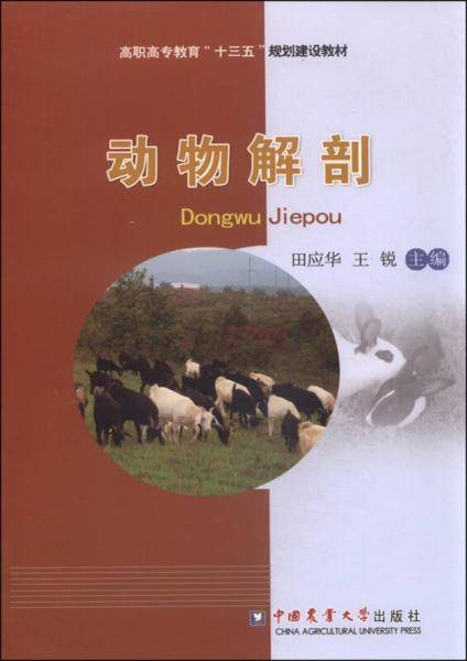 动物解剖