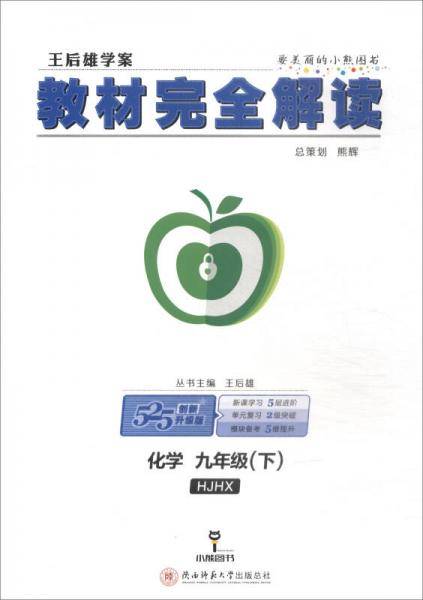 2018春 王后雄学案·教材完全解读：九年级化学下（HJHX 创新升级版）