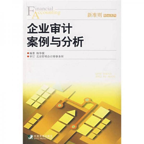 企业审计案例与分析