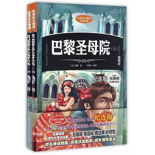 新课标无障碍经典阅读 巴黎圣母院（插图版 套装上下册）