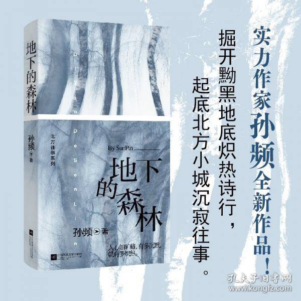 地下的森林 孙频北方往事系列