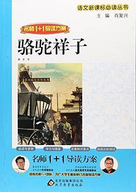 骆驼祥子/名师1+1导读方案
