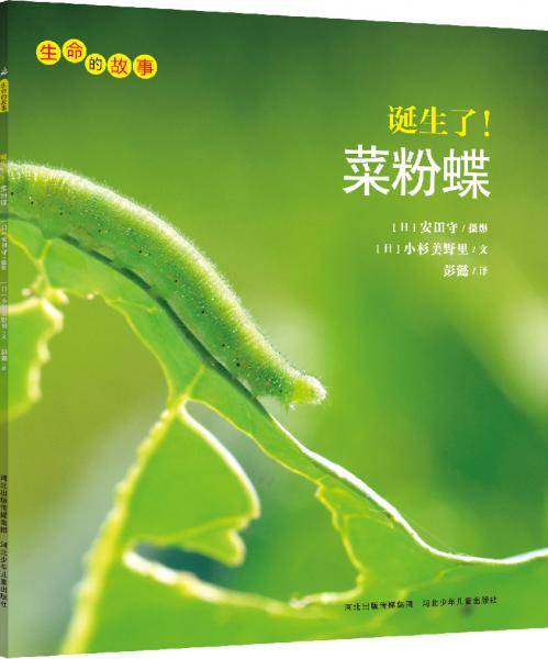 生命的故事：诞生了！菜粉蝶
