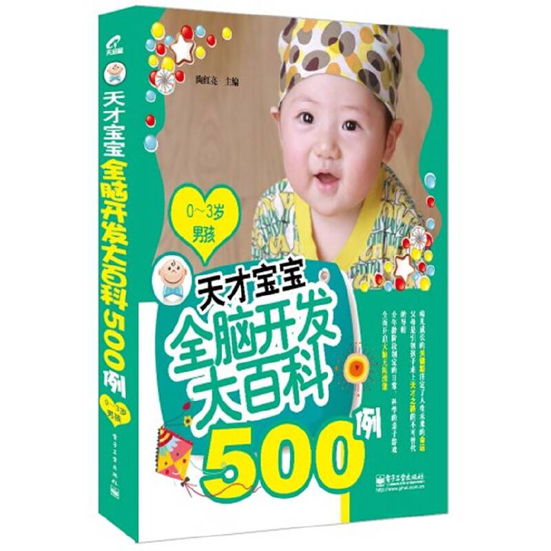 天才宝宝全脑开发大百科500例