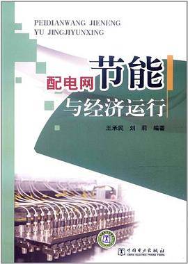 配电网节能与经济运行