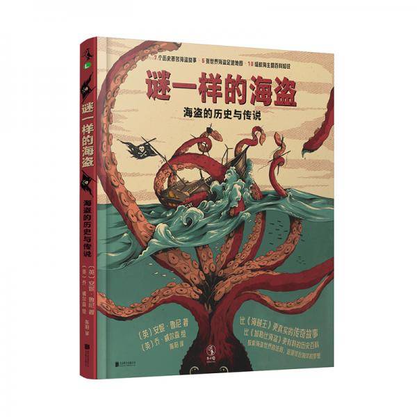 谜一样的海盗