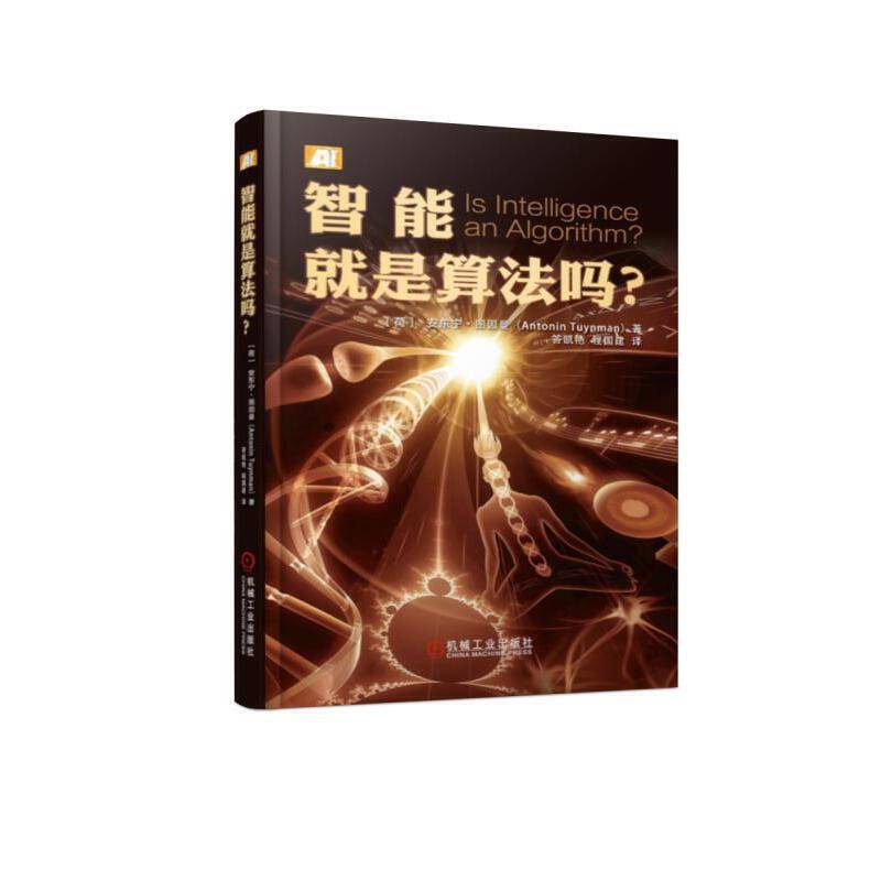 智能就是算法吗？