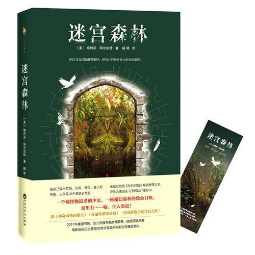 迷宫森林