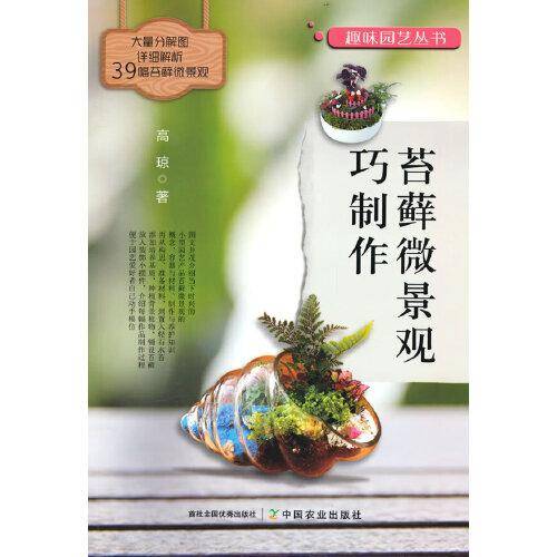 苔藓微景观巧制作