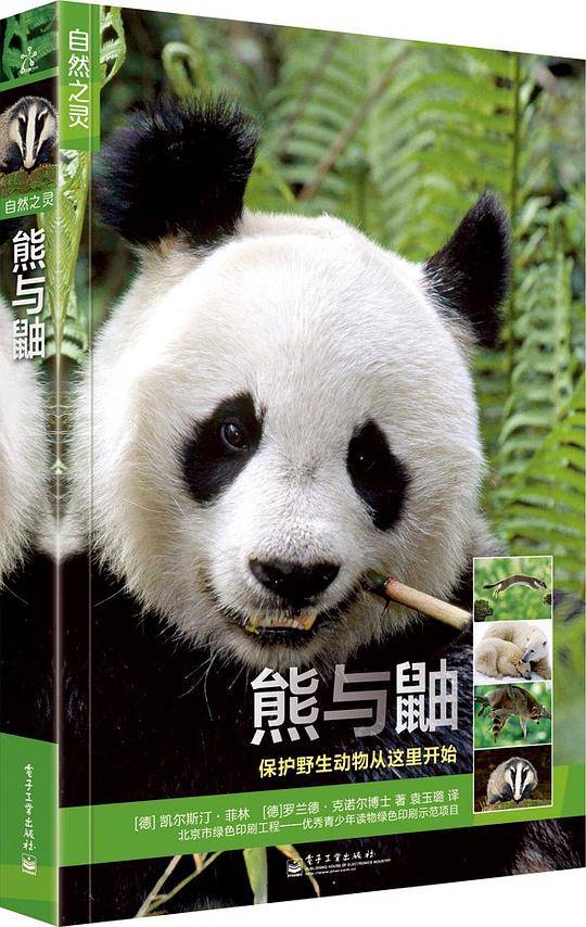 熊与鼬