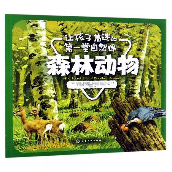 让孩子着迷的第一堂自然课――森林动物