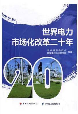 世界电力市场化改革二十年