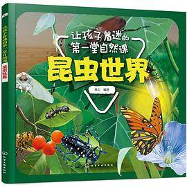 让孩子着迷的第一堂自然课――昆虫世界