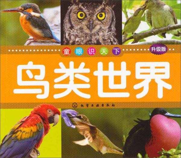 童眼识天下：鸟类世界（升级版）