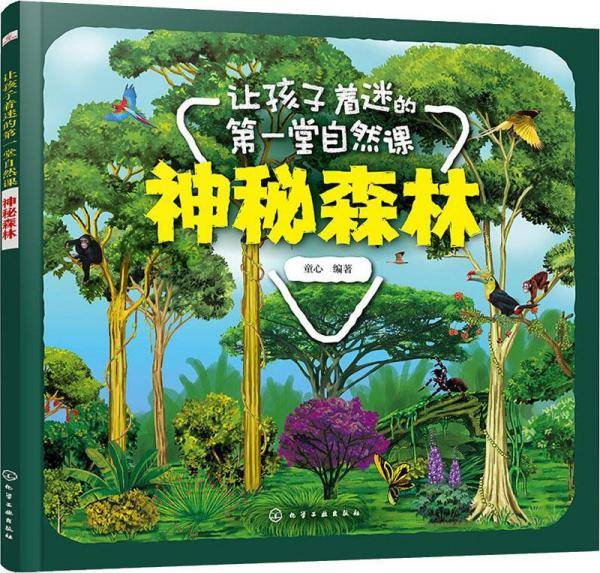 让孩子着迷的第一堂自然课――神秘森林