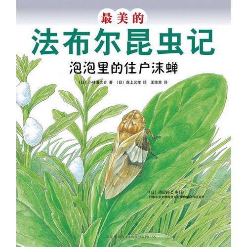 最美的法布尔昆虫记