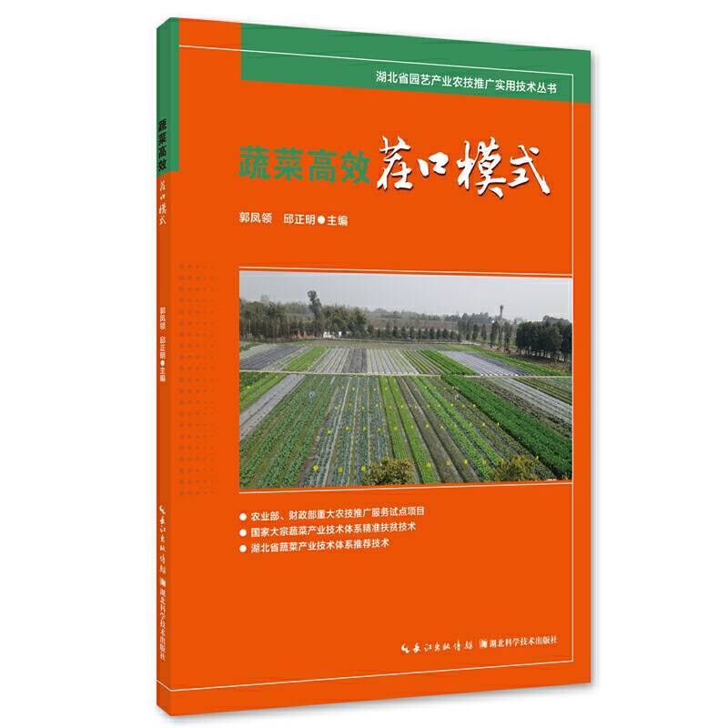蔬菜高效茬口模式