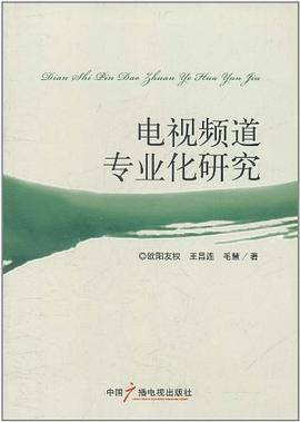 电视频道专业化研究