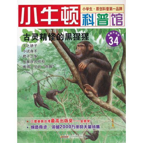 古灵精怪的黑猩猩