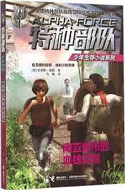 特种部队少年生存小说系列：南亚都市的血钱交易