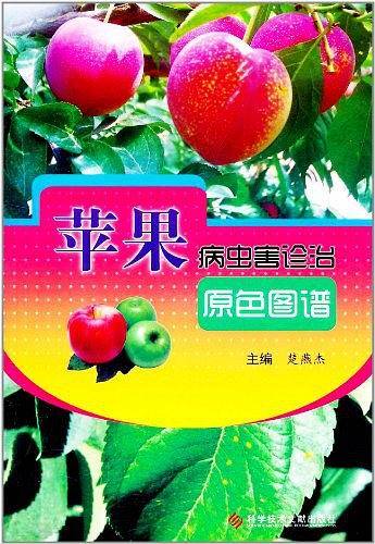 莱根谭